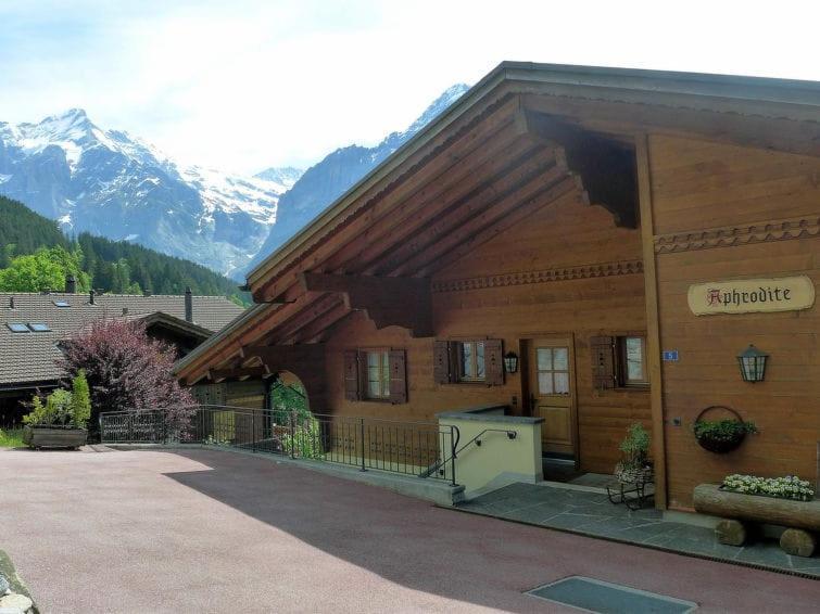 Appartamento Chalet Aphrodite West Grindelwald Esterno foto
